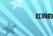 紅園的梗是什么？