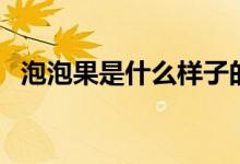泡泡果是什么樣子的（泡泡果是什么吃的）
