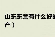 山東東營(yíng)有什么好的景點(diǎn)（山東東營(yíng)有什么特產(chǎn)）