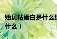貽貝粘蛋白是什么細胞分泌的（貽貝粘蛋白是什么）