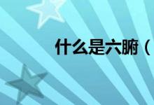 什么是六腑（什么是六維空間）