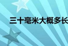 三十毫米大概多長（三十厘米有多少長）