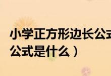 小學正方形邊長公式是什么（小學正方形邊長公式是什么）