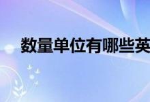 數(shù)量單位有哪些英文（數(shù)量單位有哪些）