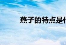 燕子的特點是什么（燕子的特點）
