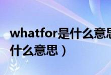 whatfor是什么意思翻譯成中文（whatfor是什么意思）