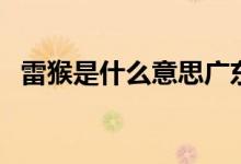 雷猴是什么意思廣東話（雷猴是什么意思）