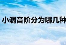 小調(diào)音階分為哪幾種（小調(diào)音階分為哪三種）