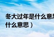 冬大過年是什么意思,打一生肖?（冬大過年是什么意思）
