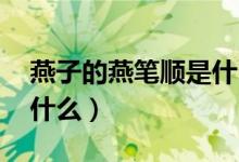 燕子的燕筆順是什么(燕的筆順 燕的筆順是什么)