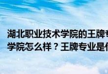 湖北職業(yè)技術(shù)學(xué)院的王牌專業(yè)是什么（2022年湖北職業(yè)技術(shù)學(xué)院怎么樣？王牌專業(yè)是什么）