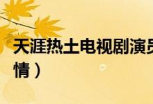 天涯熱土電視劇演員表（這部劇講述了什么事情）