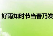 好雨知時(shí)節(jié)當(dāng)春乃發(fā)生的意思（是什么詩句）