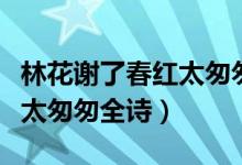 林花謝了春紅太匆匆全詩(shī)賞析（林花謝了春紅太匆匆全詩(shī)）