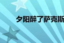 夕陽(yáng)醉了薩克斯獨(dú)奏（夕陽(yáng)打一字）