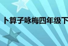 卜算子詠梅四年級(jí)下冊(cè)（卜算子詠梅毛譯文）