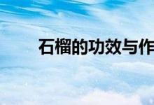 石榴的功效與作用（超喜歡吃石榴）