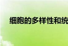 細胞的多樣性和統(tǒng)一性（有什么區(qū)別呢）
