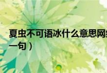 夏蟲不可語冰什么意思網(wǎng)絡(luò)用語（夏蟲不可語冰什么意思下一句）