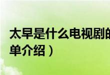 太早是什么電視劇的主題曲?。ㄓ羞@部劇的簡(jiǎn)單介紹）