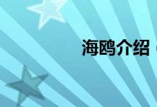 海鷗介紹（海鷗的簡介）