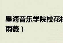 星海音樂學(xué)院?；ㄐ２荩ㄐ呛Ｒ魳穼W(xué)院?；ò贽保?class=