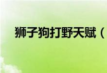 獅子狗打野天賦(獅子狗打野具體天賦)