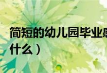 簡(jiǎn)短的幼兒園畢業(yè)感言（幼兒園畢業(yè)可以說(shuō)到什么）