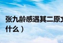 張九齡感遇其二原文(張九齡感遇其二原文是什么)