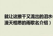 就讓這擦干又流出的淚水化作漫天相思的雨是什么歌(化作漫天相思的雨歌名介紹)