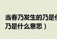 當春乃發(fā)生的乃是什么意思啊（當春乃發(fā)生的乃是什么意思）