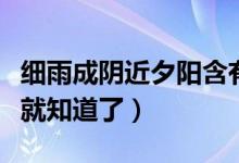 細雨成陰近夕陽含有什么節(jié)令（看完這個解析就知道了）