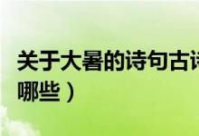 關(guān)于大暑的詩(shī)句古詩(shī)（關(guān)于大暑的詩(shī)句古詩(shī)有哪些）