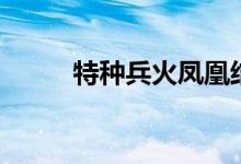 特種兵火鳳凰結(jié)局（大結(jié)局簡介）