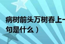 病樹前頭萬樹春上一句（病樹前頭萬樹春上一句是什么）