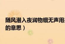 隨風(fēng)潛入夜?jié)櫸锛?xì)無聲用來形容啥（隨風(fēng)潛入夜?jié)櫸锛?xì)無聲的意思）