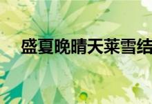 盛夏晚晴天萊雪結(jié)局（該劇改編于什么）