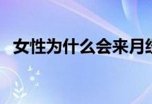 女性為什么會來月經(jīng)（女性為什么會腎虛）