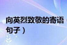 向英烈致敬的寄語(yǔ)（這些都是致敬英雄的經(jīng)典句子）