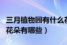 三月植物園有什么花（三月份的時(shí)候植物園的花朵有哪些）