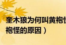 奎木狼為何叫黃袍怪（西游記奎木狼被叫做黃袍怪的原因）