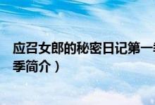 應(yīng)召女郎的秘密日記第一季劇情(應(yīng)召女郎的秘密日記第一季簡介)