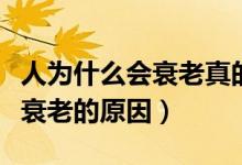 人為什么會(huì)衰老真的因?yàn)闀r(shí)間嗎（人為什么會(huì)衰老的原因）