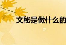 文秘是做什么的（文秘的工作內(nèi)容）