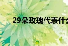 29朵玫瑰代表什么(適合什么場合送)