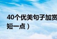 40個(gè)優(yōu)美句子加賞析（40個(gè)優(yōu)美句子加賞析短一點(diǎn)）