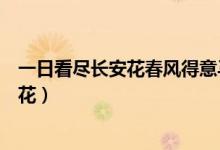 一日看盡長安花春風(fēng)得意馬蹄疾是什么意思（一日看盡長安花）