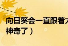 向日葵會(huì)一直跟著太陽(yáng)的方向轉(zhuǎn)來(lái)轉(zhuǎn)去嗎（太神奇了）