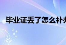 畢業(yè)證丟了怎么補(bǔ)辦(補(bǔ)辦流程是怎樣的)