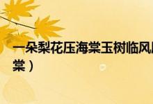 一朵梨花壓海棠玉樹臨風(fēng)勝潘安是什么意思（一朵梨花壓海棠）